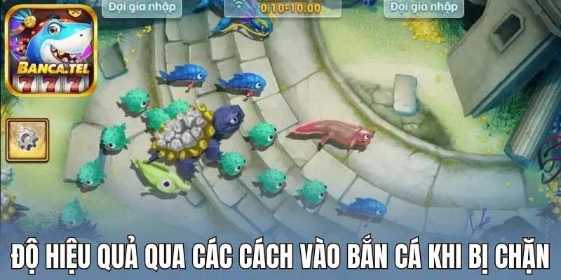 Độ hiệu quả qua các cách vào bắn cá khi bị chặn