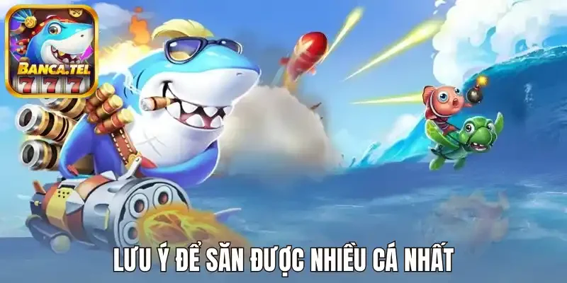 Lưu ý để săn được nhiều cá nhất 