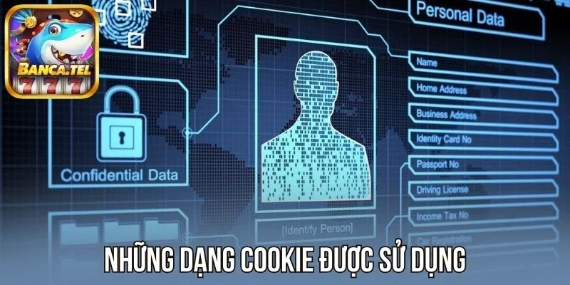 Những dạng Cookie sân chơi đang sử dụng