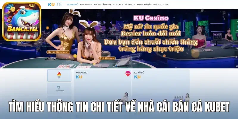Tìm hiểu thông tin chi tiết về nhà cái bán cá Kubet