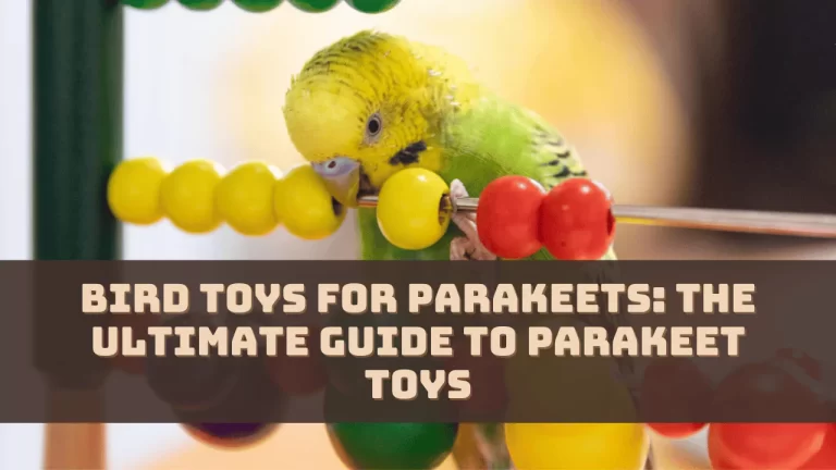 Bird Toys For Parakeets