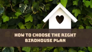 How to Choose the Right Birdhouse Plan