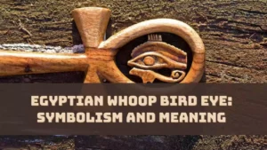 Egyptian Whoop Bird Eye